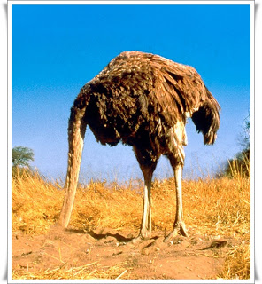 [Image: ostrich_head_in_sand.jpg]